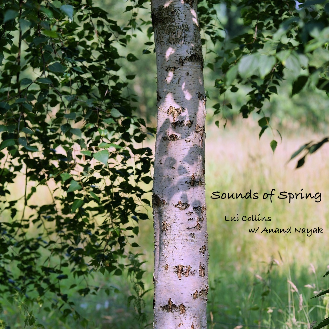 Sounds of Spring - Lui Collins w/ Anand Nayak