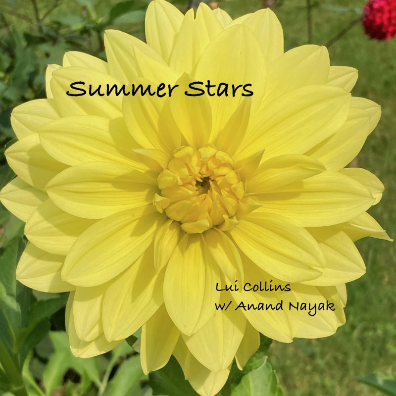 Summer Stars - Lui Collins w/ Anand Nayak
