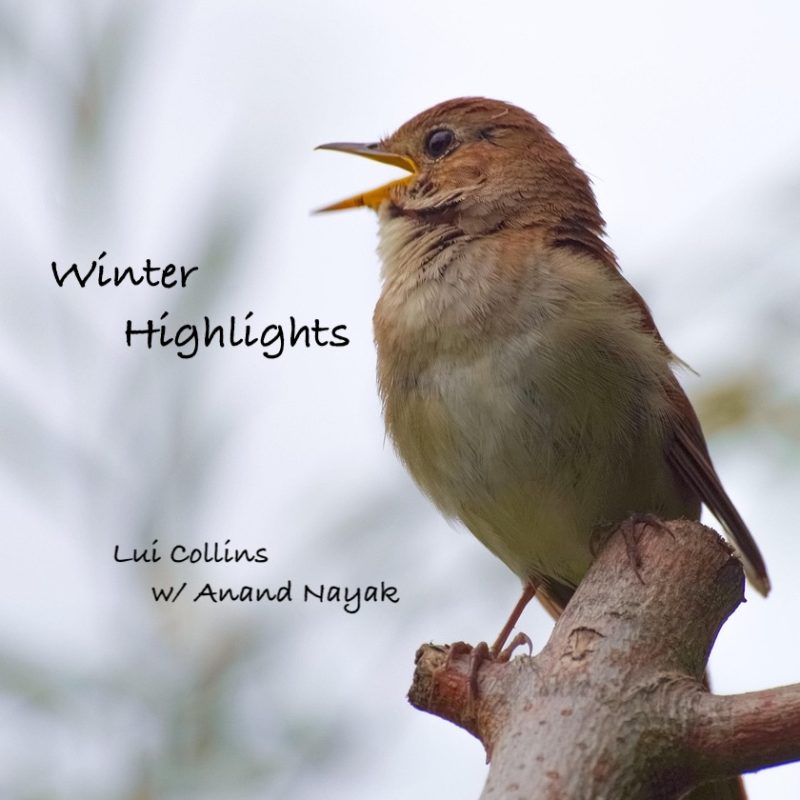 Winter Highlights - Lui Collins w/ Anand Nayak